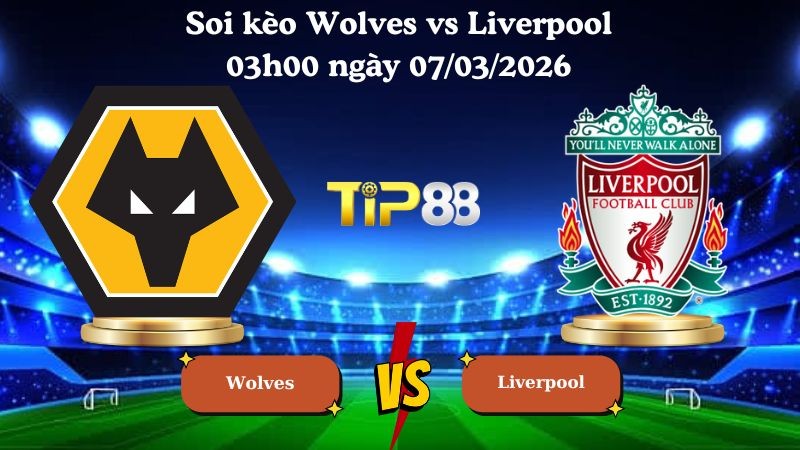 TIP88 Nhận định soi kèo Wolves vs Liverpool 03h00 ngày 07/03/2026 - FA Cúp