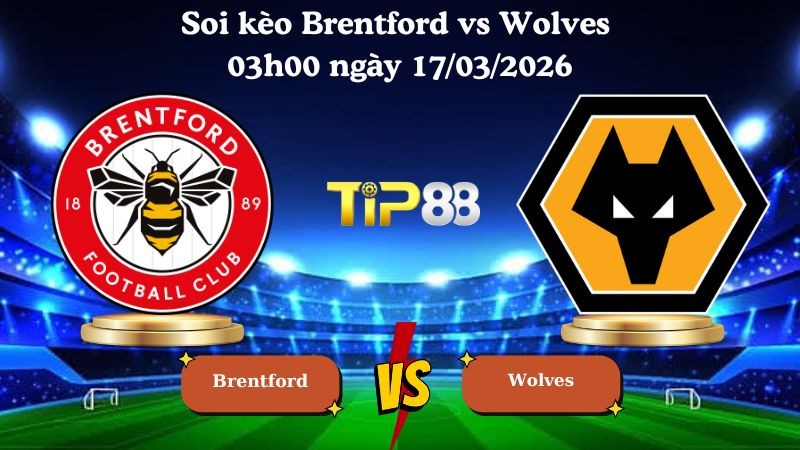 TIP88 Nhận định soi kèo Brentford vs Wolves 03h00 ngày 17/03/2026 - Ngoại hạng Anh