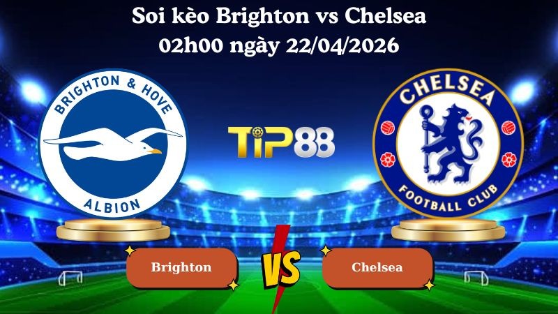 TIP88 Nhận định soi kèo Brighton vs Chelsea 02h00 ngày 22/04/2026 - Ngoại hạng Anh