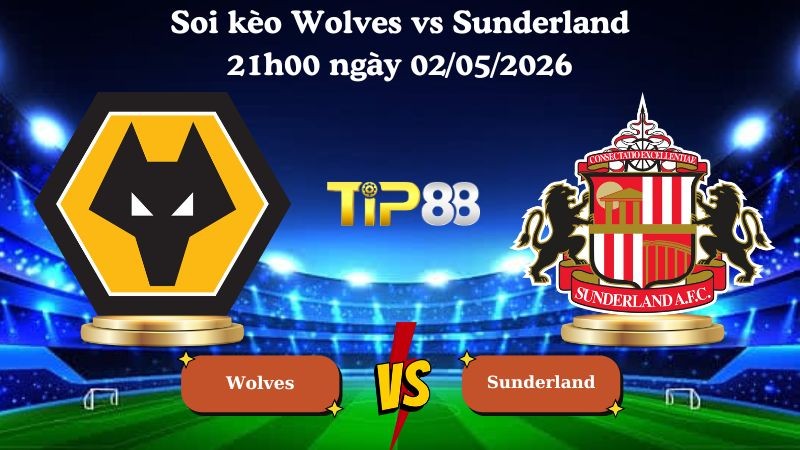 TIP88 Nhận định soi kèo Wolves vs Sunderland 21h00 ngày 02/05/2026 - Ngoại Hạng Anh
