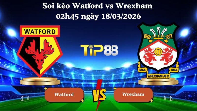 TIP88 Nhận định soi kèo Watford vs Wrexham 02h45 ngày 18/03/2026 - Hạng nhất Anh