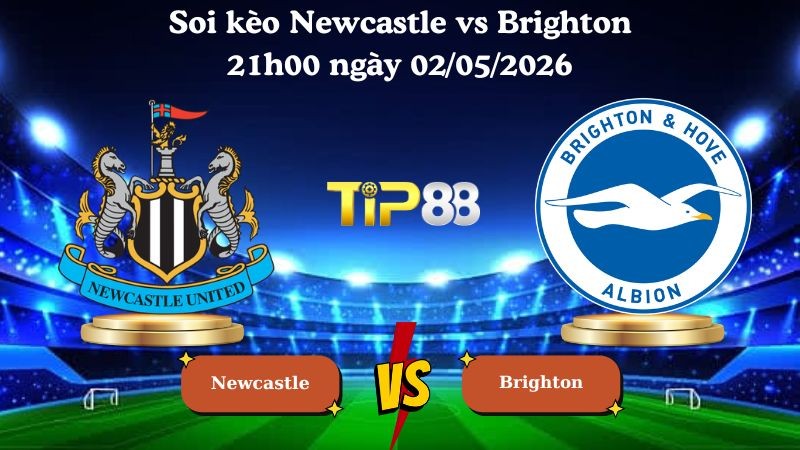 TIP88 Nhận định soi kèo Newcastle vs Brighton 21h00 ngày 02/05/2026 - Ngoại Hạng Anh