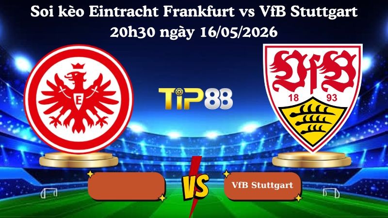 TIP88 Nhận định soi kèo Eintracht Frankfurt vs VfB Stuttgart 20h30 ngày 16/05/2026 - Bundesliga