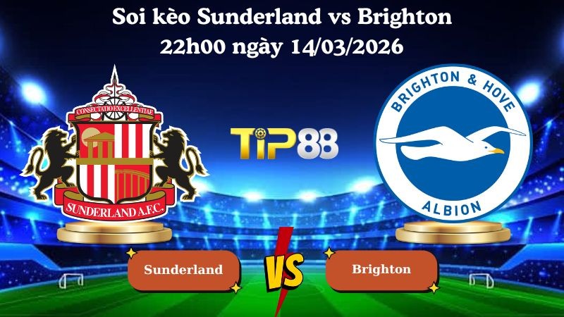 TIP88 Nhận định soi kèo Sunderland vs Brighton 22h00 ngày 14/03/2026 - Ngoại Hạng Anh