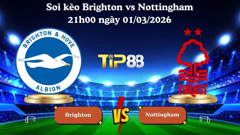 TIP88 Nhận định soi kèo Brighton vs Nottingham 21h00 ngày 01/03/2026 - Ngoại Hạng Anh