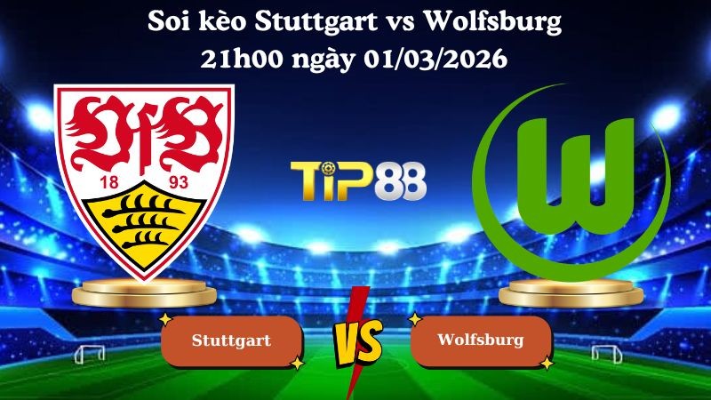TIP88 Nhận định soi kèo Stuttgart vs Wolfsburg 21h00 ngày 01/03/2026 - Bundesliga